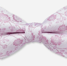 Load image into Gallery viewer, Olymp- Floral Bow Tie Silk, Mauve