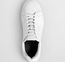 Load image into Gallery viewer, GANT - McJulien Trainer, Cow Leather, White, Snoopy