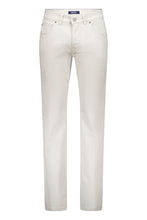 Load image into Gallery viewer, Gardeur - Bill, Printed Cotton, Stone