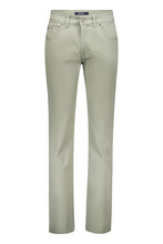 Load image into Gallery viewer, Gardeur - Bill, Printed Cotton, Pastel Green