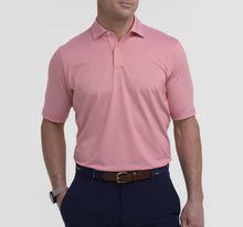 Load image into Gallery viewer, Fairway & Greene - Mini Stripe Jersey Polo, Cardinal