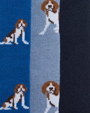 Load image into Gallery viewer, Barbour - Beagle Dog Sock Giftset
