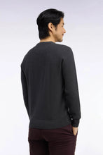 Load image into Gallery viewer, Eden Park - Honeycomb Cotton Round Neck, Dark Grey
