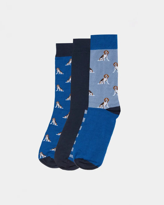 Barbour - Beagle Dog Sock Giftset