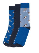 Load image into Gallery viewer, Barbour - Beagle Dog Sock Giftset
